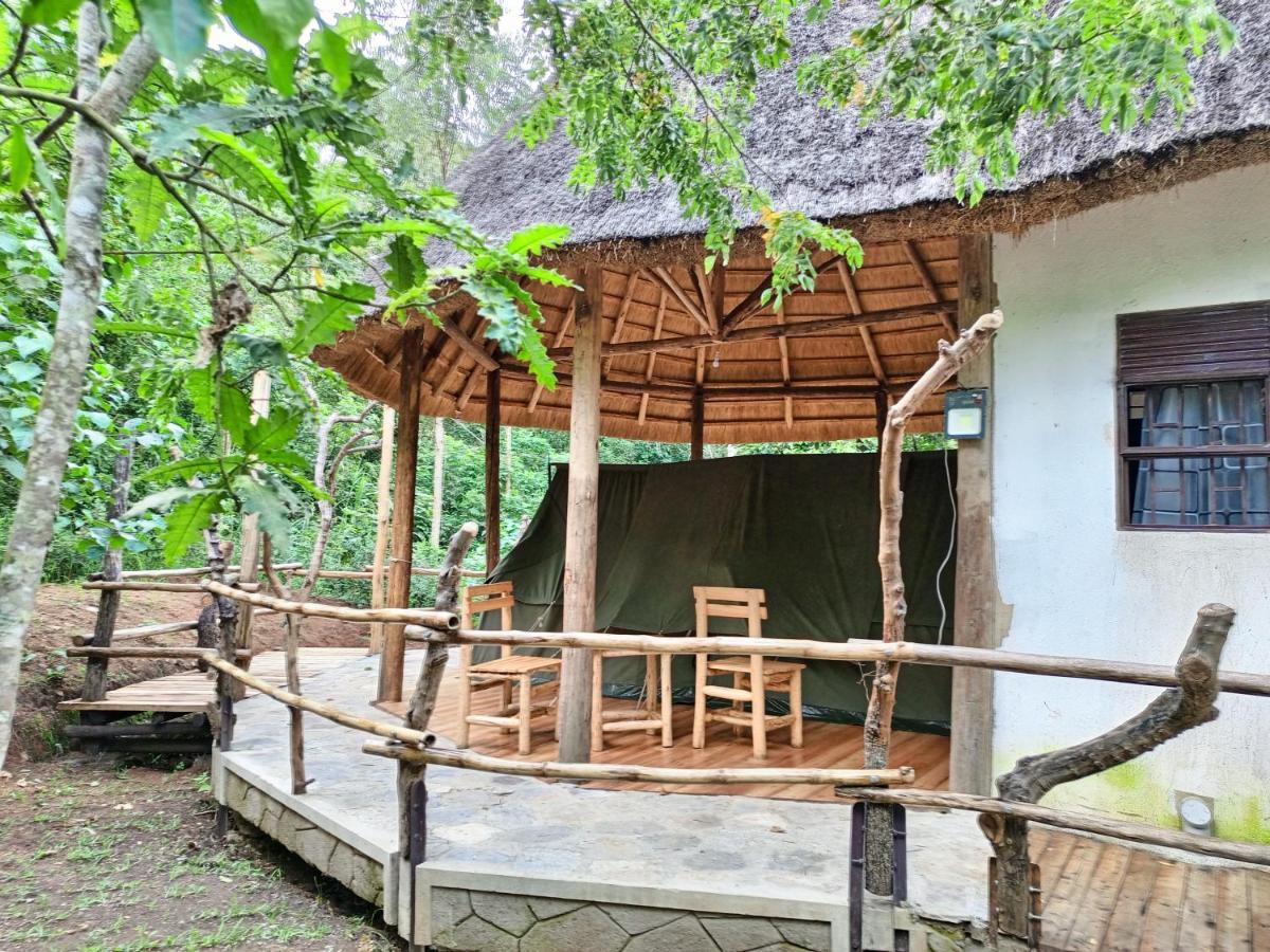 Chimpanzee Capital Safari Lodge Bigodi Exterior foto